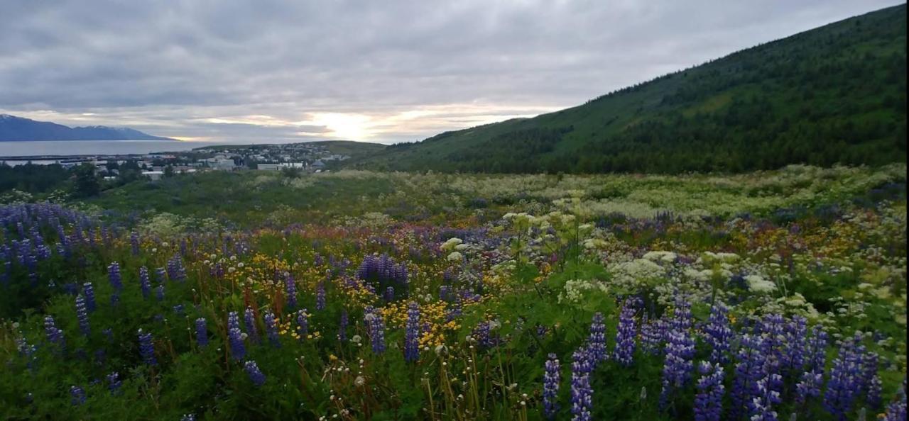 B&B Rooms Husavik 3 Dış mekan fotoğraf