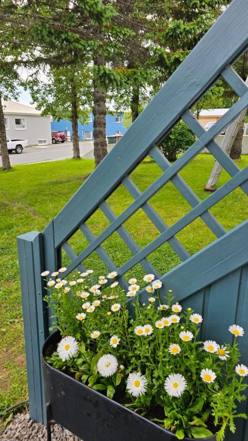 B&B Rooms Husavik 3 Dış mekan fotoğraf